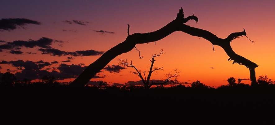 Vakantie Australië Outback sunset 25